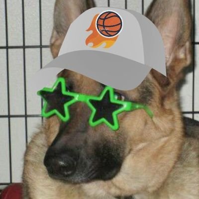 mmikalbridges's profile picture. currently mourning mikal bridges as a sun☀️ phx suns | chi cubs 🐻