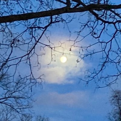 nordicenergie's profile picture. Samhällsintresserad medborgare.