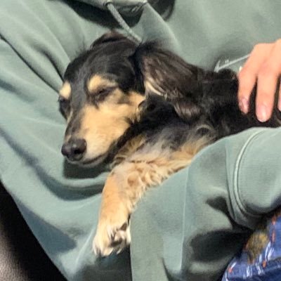 Keihukihuku's profile picture. 04/♂