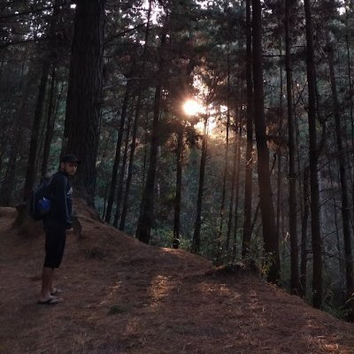 brunorojassoto's profile picture. Vivo en Santiago pero soy de Villa Alegre y Valparaíso. Cientista social @uchile.