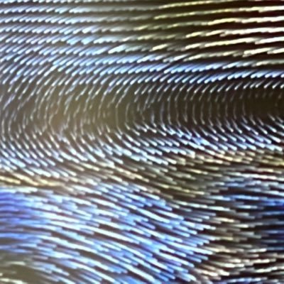 TeresaPhares3's profile picture. 