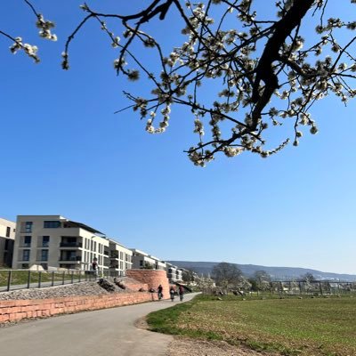 calio4nia's profile picture. 