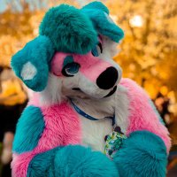 melly dawg (@mellydawg) 's Twitter Profile