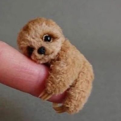 khosh_andam69's profile picture. مطالب حاوی چسناله و جاج