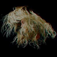 anteaterofficial (@anteatercz) 's Twitter Profile