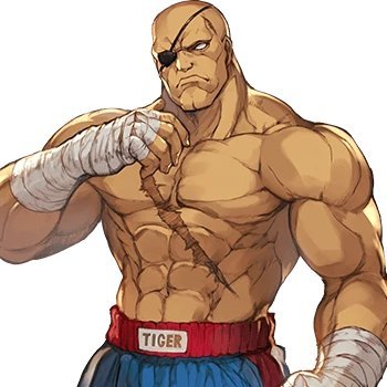 Sagat Calls