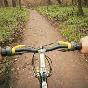 museisaband's profile picture. 