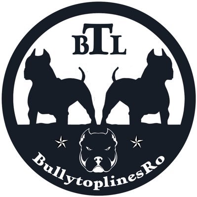 BullytoplinesRo's profile picture. 🔥American bully XL-XXL🔥 ‼️ we only grow dogs from champion lines and we are very concentrated on the quality of the dogs‼️