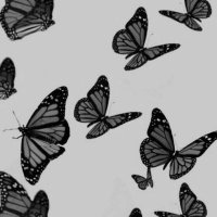 Cloe (@cloeaicart) 's Twitter Profile