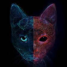 NFTMiaCat's profile picture. Hi, I'm Mia the cat!I live in Ukraine. This project is to help my fellow animals who are a little less fortunate than me! Let everyone have food and lodging...