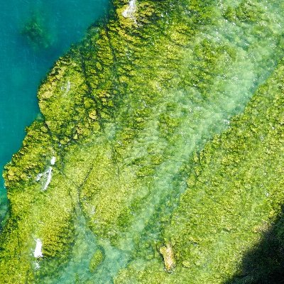 GeorgeM97653261's profile picture. 