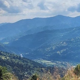 mary_mary_p's profile picture. .