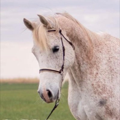 Axegirl72's profile picture. 