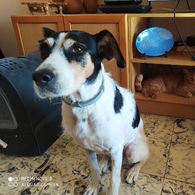 lourdesegis's profile picture. 