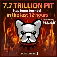 # SHIBA INU (@inupoland) 's Twitter Profile