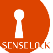 Senselocker's profile picture. A pioneer of software protection technology in China