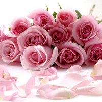 Nazgulim_0906 (@nazgulim0) 's Twitter Profile