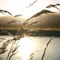 Audibly Calm (@audiblycalm) 's Twitter Profile