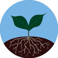 Plantagarden 🍃💚🍃 (@gardenplanta) 's Twitter Profile