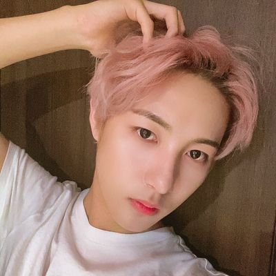 sbt & fa acc | Renjun • Yesung | NCT & Super Junior enthusiast | kjw & hrj poca slow collector ~♡