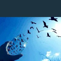 💙🕊️dilan🕊️💙 (@alietin69403387) 's Twitter Profile Photo 💙🕊️dilan🕊️💙 (@alietin69403387) 's Twitter Profile Photo