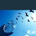💙🕊️dilan🕊️💙 (@alietin69403387) Twitter profile photo 💙🕊️dilan🕊️💙 (@alietin69403387) Twitter profile photo