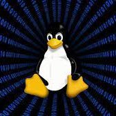 LinuxNoob1's profile picture. No, Your Bio