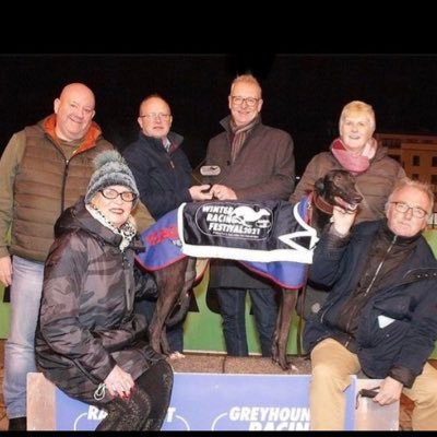 Greyhound Owner (over 50 years) Punter, Enthusiast, ex Pundit and second poorest in the 5 Morettis syndicate.