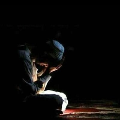 RanaAbd58042825's profile picture. 🇵🇸