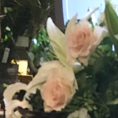 Hana87Mai's profile picture. 小さいマイペース人。ドイツ好き。