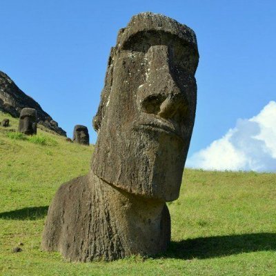 sin_mapas's profile picture. ...