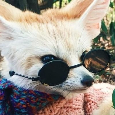 digitigenerate's profile picture. the real FBF