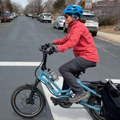 Lisa Seaman (Bike Choir)