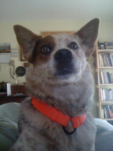 AllThymeLlama's profile picture. PAGESIDELAKESIDE