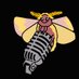 Rose Gold (@rosegoldmothman) Twitter profile photo Rose Gold (@rosegoldmothman) Twitter profile photo