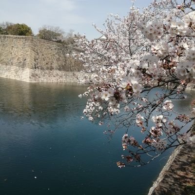 pulsewidthmodu's profile picture. Valorant Rank platinum ゲーム全般好きです 誰か友達になってください。 多分フォロバしますよ      #高専