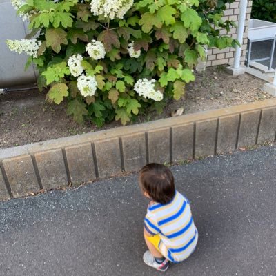 nana590411's profile picture. ブログとアフィリエイト、ジュビロ磐田、 ダイエットを愛してます❣️妻と息子2人とナナ🐶の5人家族😍 保育士5年→営業3年→去年の1月から自営業の鬱と適応障害もち。2022年4月から営業で働きながら副業でブログ❣️絶対にブログで本職より稼ぐ‼️色んなジャンルの方々と仲良くなりたいので宜しくお願いします😊✨