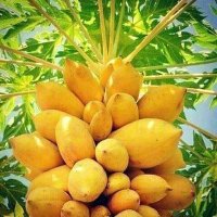 حمدي عتق (@hmdytq) 's Twitter Profile