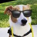 Norman Pagenaud (@normanpagenaud) Twitter profile photo Norman Pagenaud (@normanpagenaud) Twitter profile photo