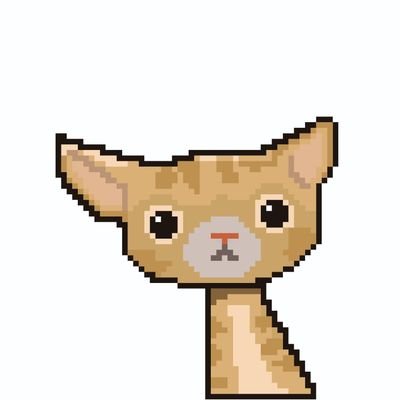 Lilly the cat is an NFT collection of Lilly's special moments in the history of Music, Art, as well as cameo appearances in games and historical characters.