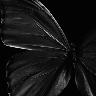 hagar_diab's profile picture. My pasion all around the software development world, I wish i could be an star in this world.