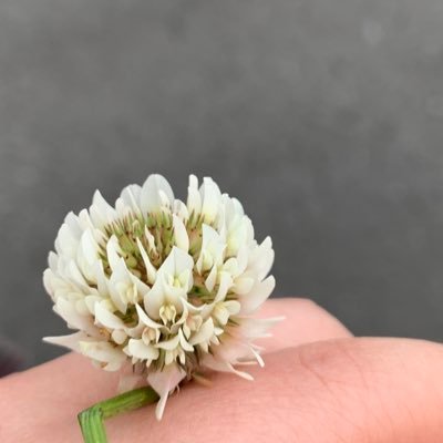 doco0210's profile picture. 海洋理工🌊