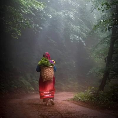 ozcnemine's profile picture. Bayrakları bayrak yapan üstündeki kandır. Uğurunda ölen varsa vatandır.
NE MUTLU TÜRKÜM DİYENE!