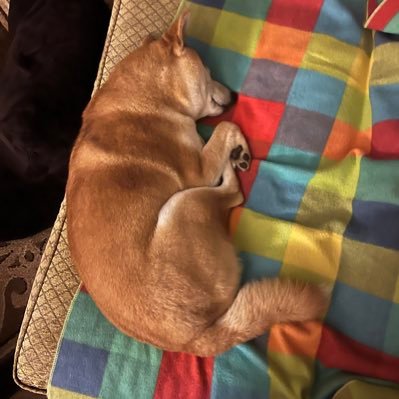 RoseChe89389838's profile picture. 