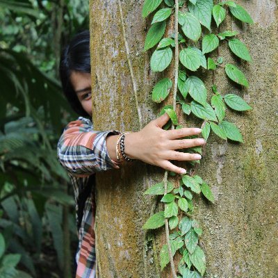 Los árboles son parte de mi historia, mis investigaciones, mis viajes y mi mundo🌳Tengo el gran privilegio de estudiarlos🤩🔬🔎📱🧐😍