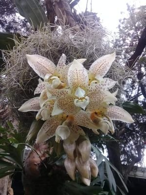 CetinaBalam's profile picture. Me gusta mucho la naturaleza 🐾🌱