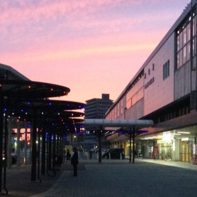 querobeberagua9's profile picture. 