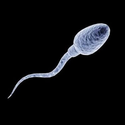 punkshit66's profile picture. 'The Last Good Man'