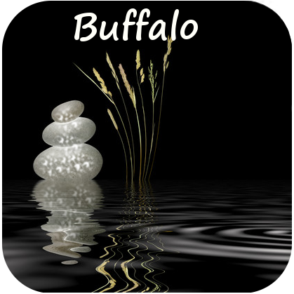 pcbuffny's profile picture. Poised Creation's Buffalo network! Everything that is specific to Buffalo or its surrounding area pertaining to our artists will be tweeted here!