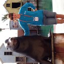 Jenny Bray - @jennybray3 - Twitter